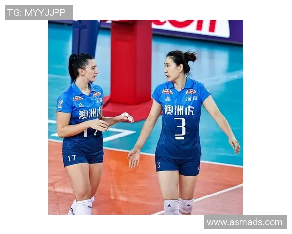 深圳排球队配合策略分析与战术提升探讨