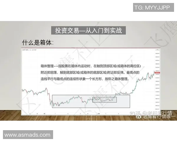 深入分析北京羽毛球队防反战术的独特魅力与实战应用