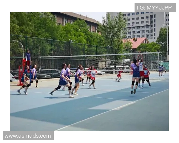 北京排球队快攻战术解析与深度剖析助力排球竞技水平提升