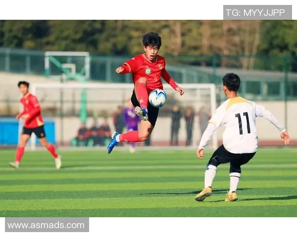 埃及足球明星前十名盘点他们如何在绿茵场上书写传奇