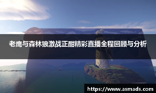 老鹰与森林狼激战正酣精彩直播全程回顾与分析